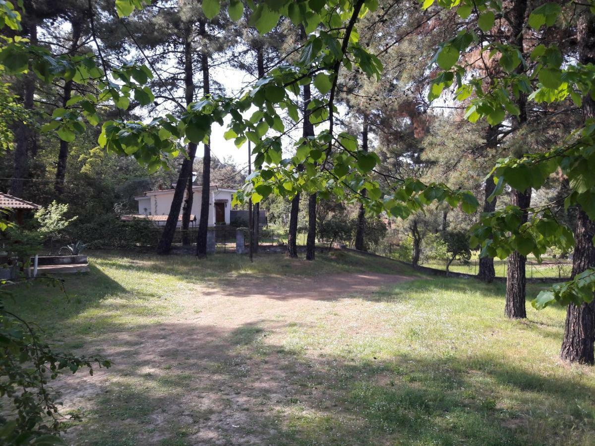 Villa Leo Glykadi Dış mekan fotoğraf